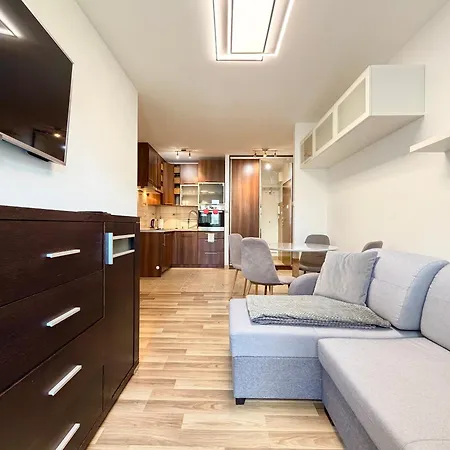 Rutkiewicz Comfort By Bookinghost Apartment *
